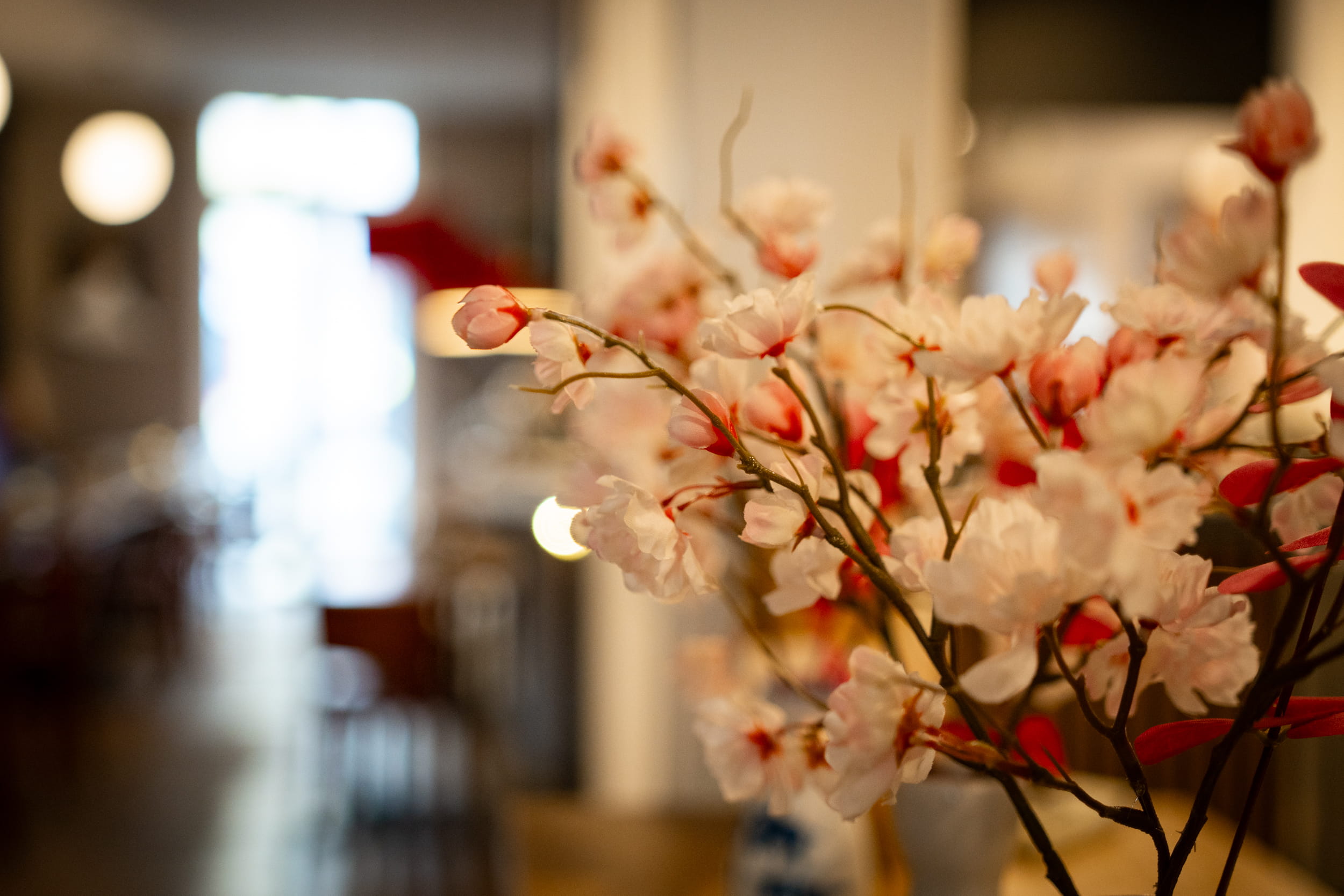 AMO Lübeck Restaurant und asiatische Küche – Galerie 18